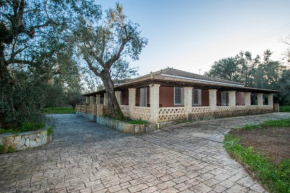 Acropole Laganas Holiday House by 